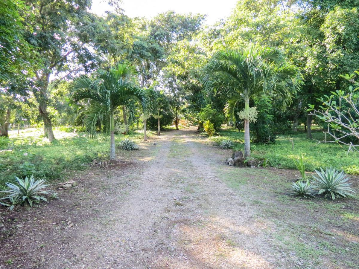 Villa Cabanas Calakmul Conhuas Exterior foto