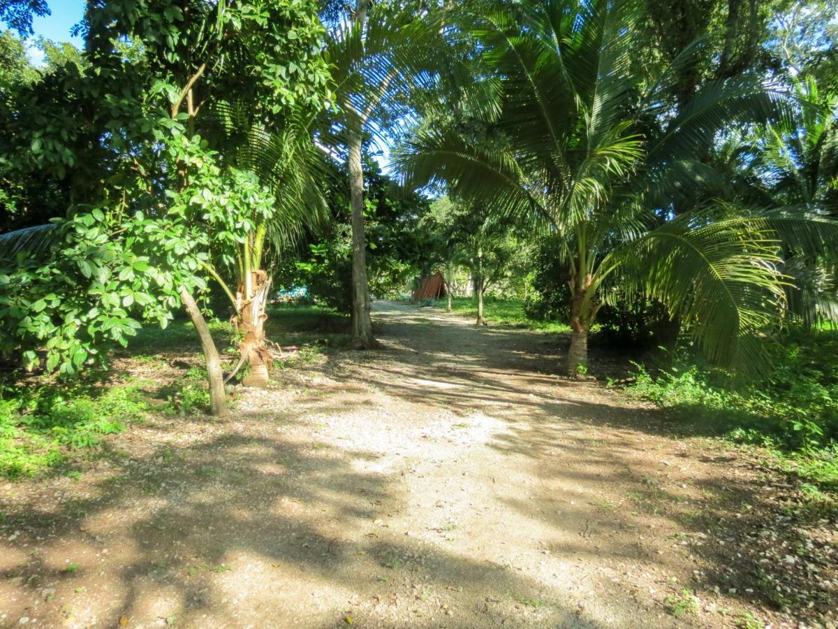 Villa Cabanas Calakmul Conhuas Exterior foto